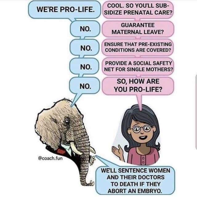 Pro life.png