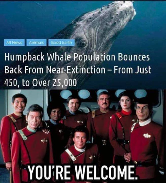 Humpback population.jpg