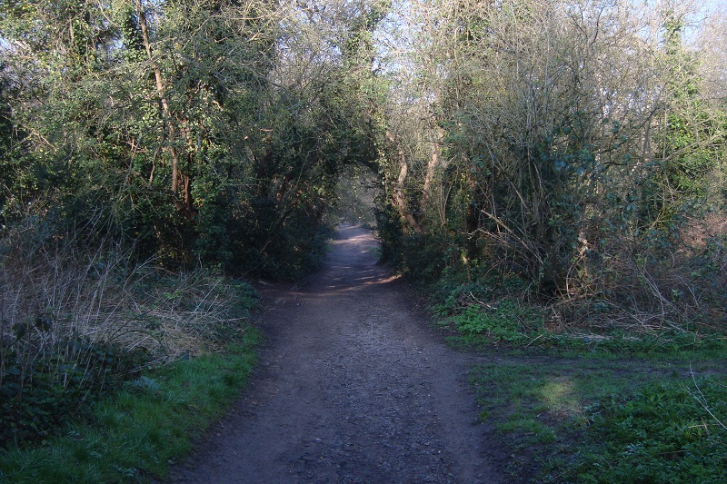 HampsteadHeath1.jpg